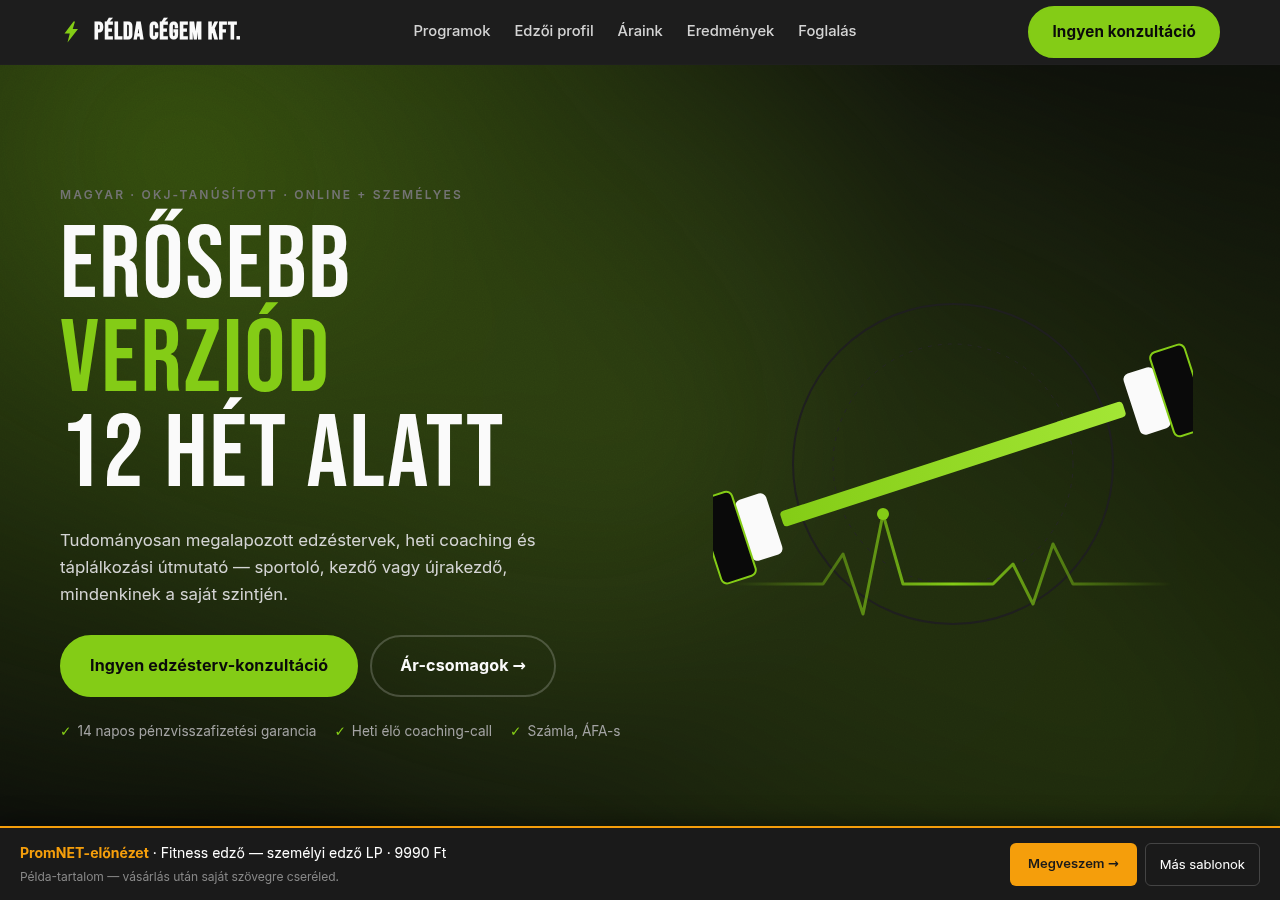Fitness edző — személyi edző LP preview